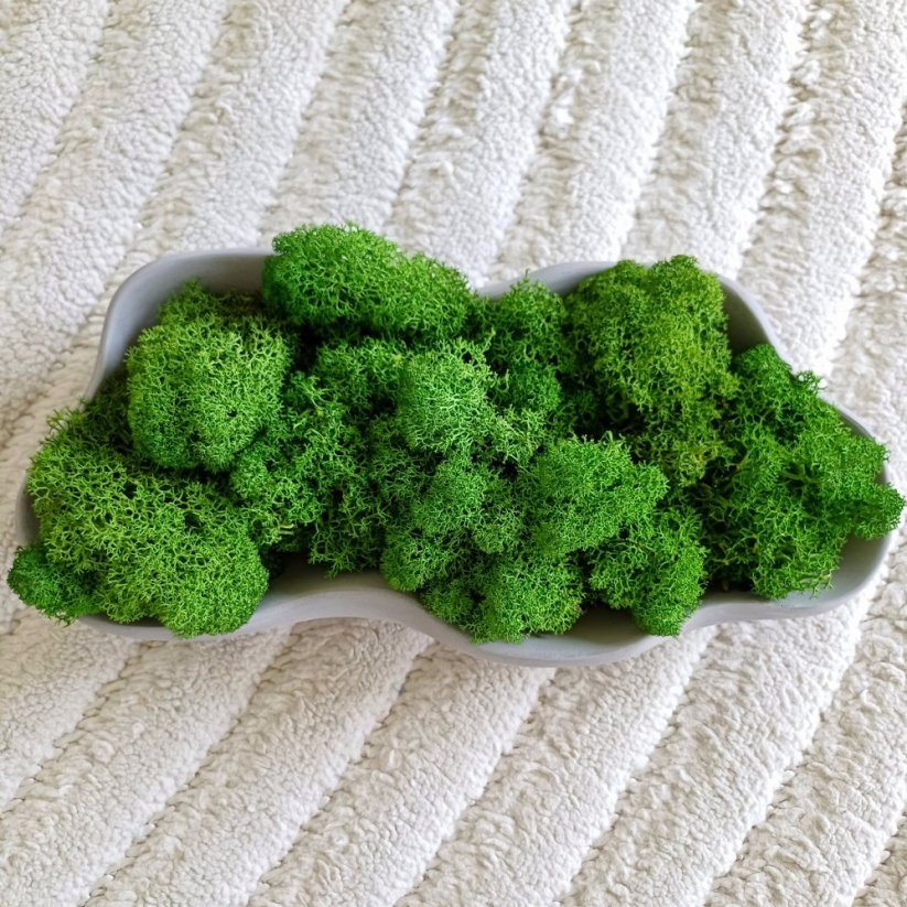 Mechová miska vlnka BETON home