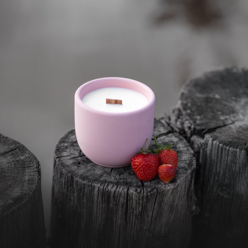Sójová svíčka v betonu OVOCNÝ RÁJ / Rebarbora x jahoda 220g