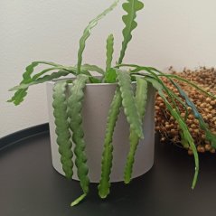 Betonový květináč hladký BETON home