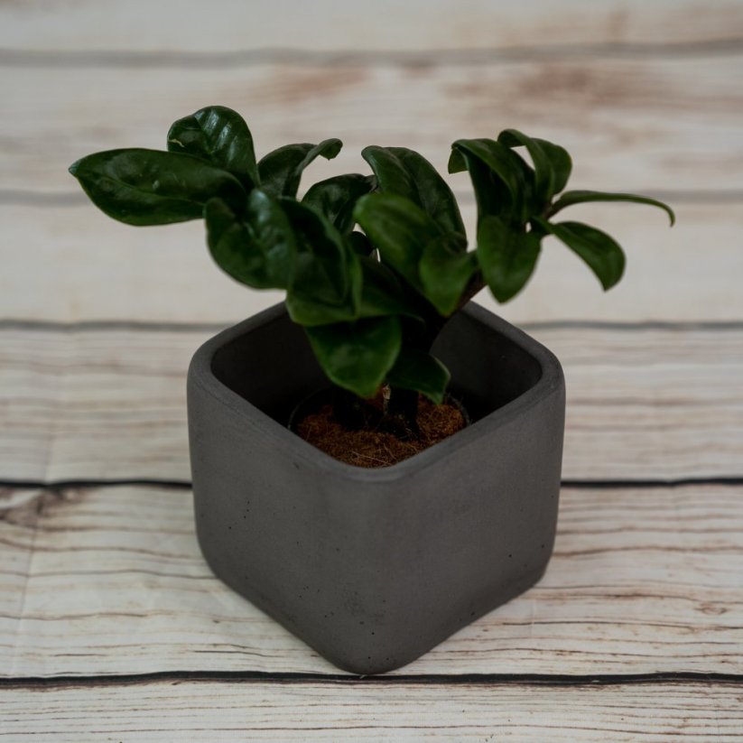 Betonový květináč hranatý BETON home