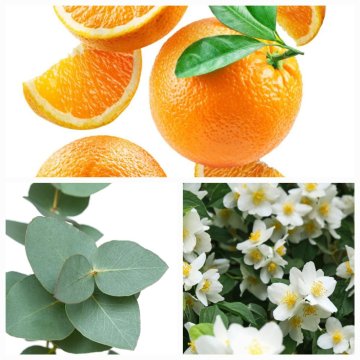 SVĚŽÍ VÍTR / Pomeranč, eukalyptus a jasmín