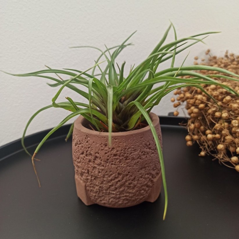 Betonový květináč strukturovaný BETON home