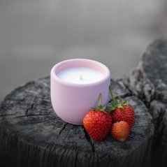 Sójová svíčka v betonu mini OVOCNÝ RÁJ / Rebarbora x jahoda 70g