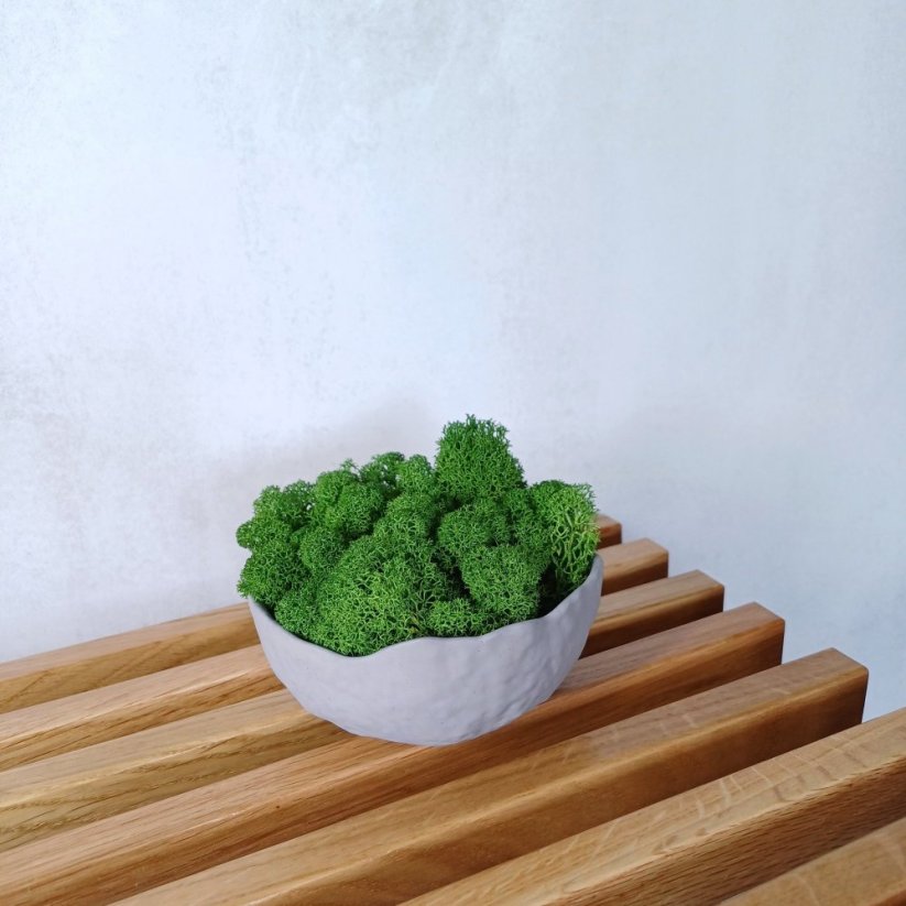 Mechová miska skořápka BETON home