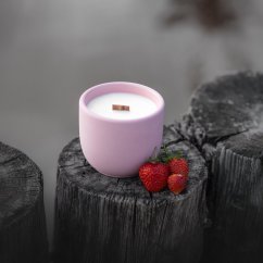 Sójová svíčka v betonu OVOCNÝ RÁJ / Rebarbora x jahoda 220g