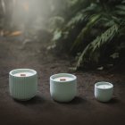 Sójové svíčky v betonu