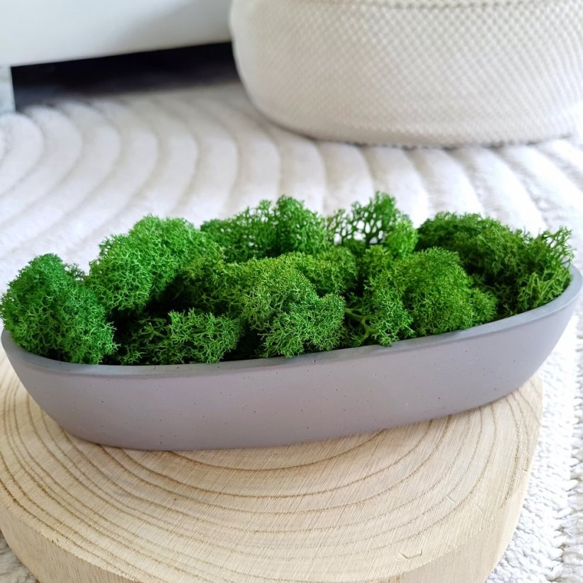 Mechová mísa oválná malá BETON home