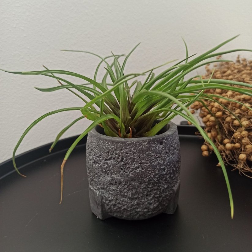 Betonový květináč strukturovaný BETON home