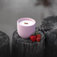 Sójová svíčka v betonu OVOCNÝ RÁJ / Rebarbora x jahoda 220g