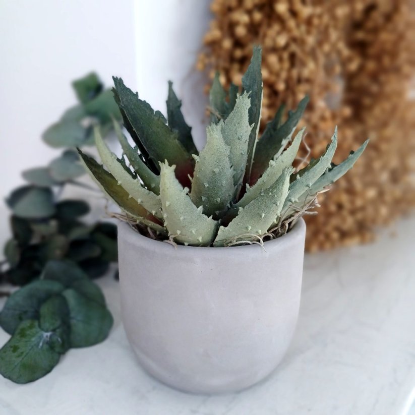 Sójová svíčka v betonu CITRUSOVÁ SVĚŽEST/ Limetka x bazalka x mandarinka  220g - Barva: Zelená melír