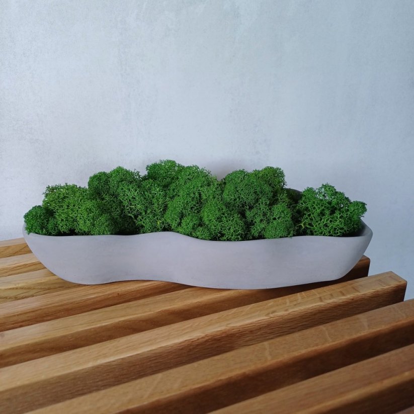 Mechová miska vlnka BETON home