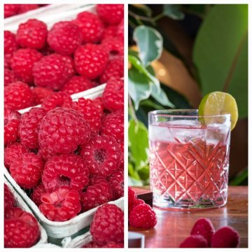 MALINOVÝ SORBET / Malina x Limetka x Citron x Rum