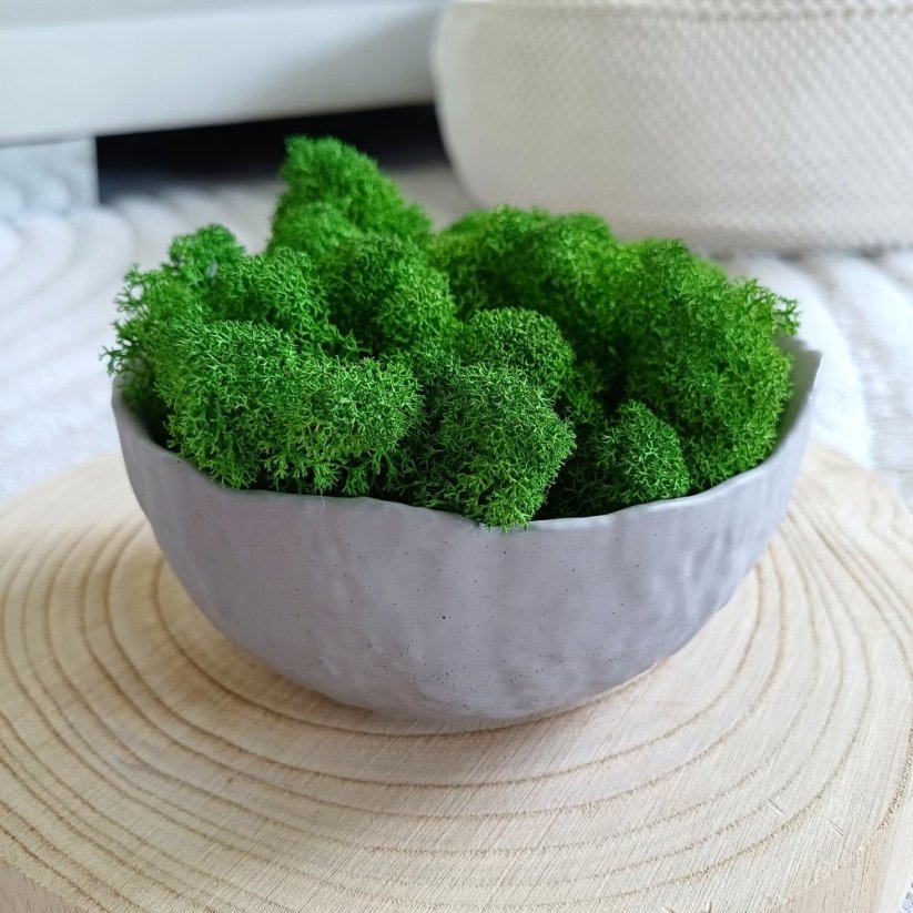 Mechová miska skořápka BETON home